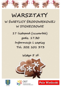 warsztaty-kreatywne-sygneczow-17-11-2016