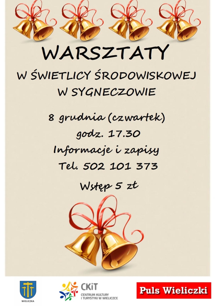 warsztaty-kreatywne-sygneczow-08-12-2016